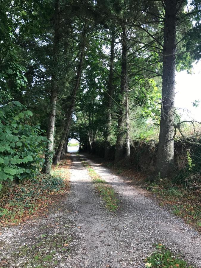 Parc Ar Brun Bihan Minihy-Tréguier